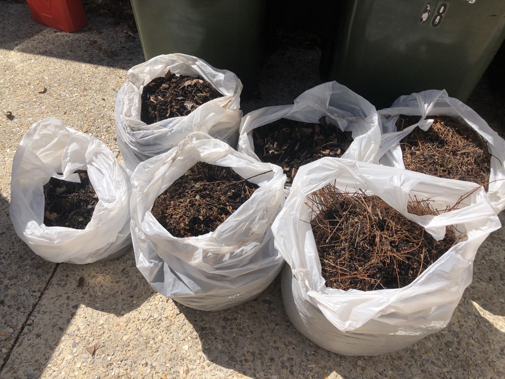 Five large bags of vegetation, mud and muck cleaned from these gutters. It would be impossible for the gutters and downpipes to function with all this material blocking the water flow.