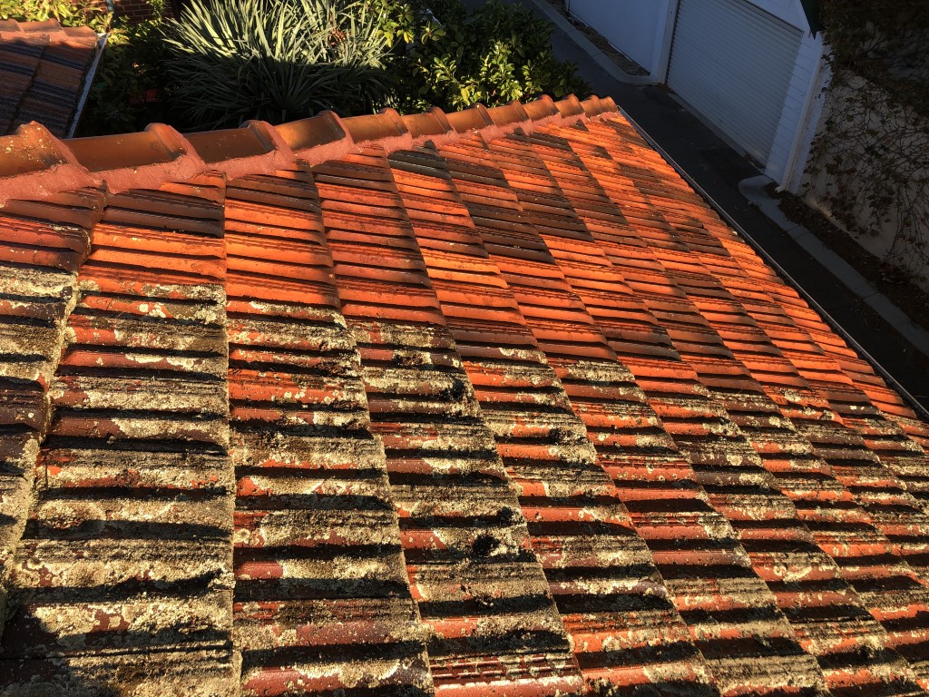 Roof tile cleaning comparison cleaned vs not cleaned