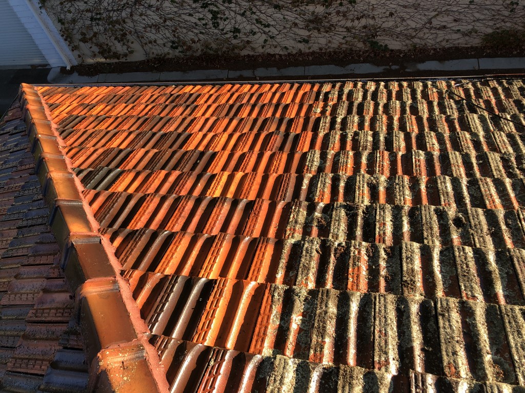 Roof tile cleaning comparison cleaned vs not cleaned