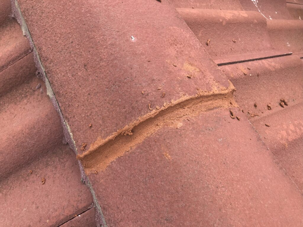 Completed pointing to repair a crack in the roof tile cement