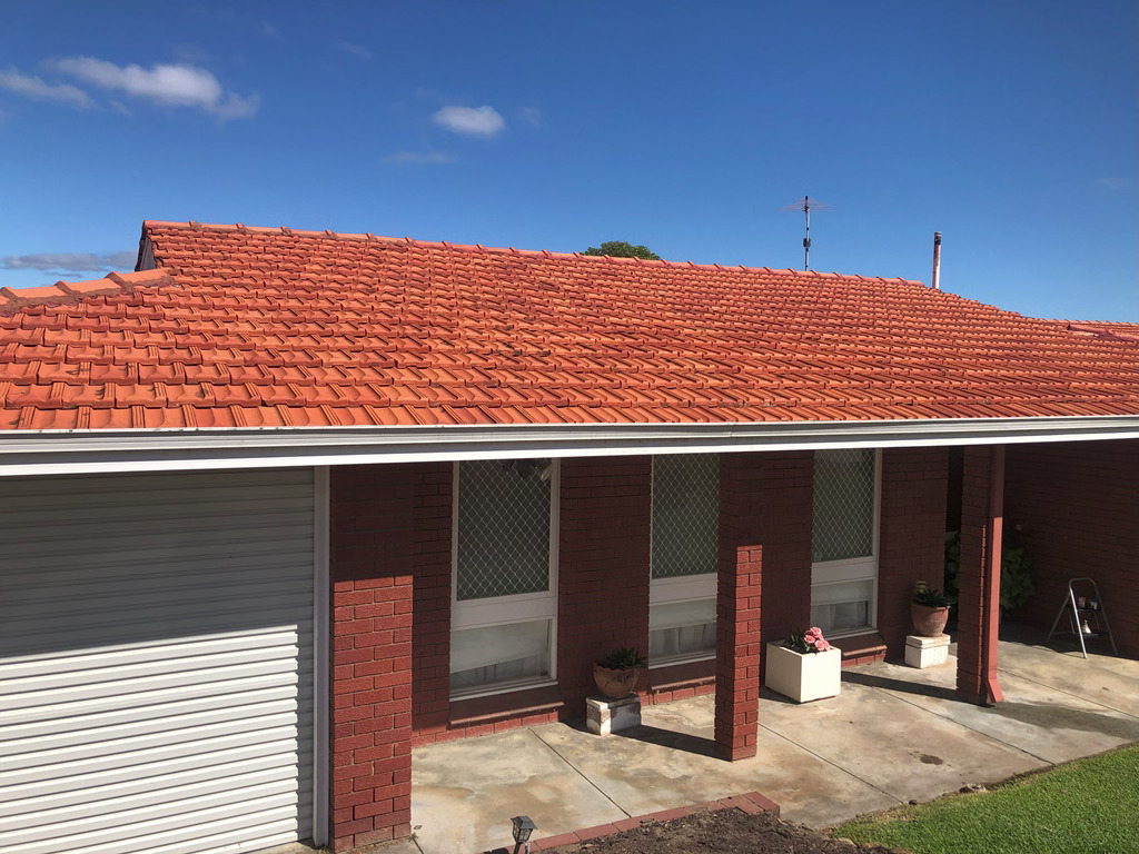 Repaired and cleaned tile roof