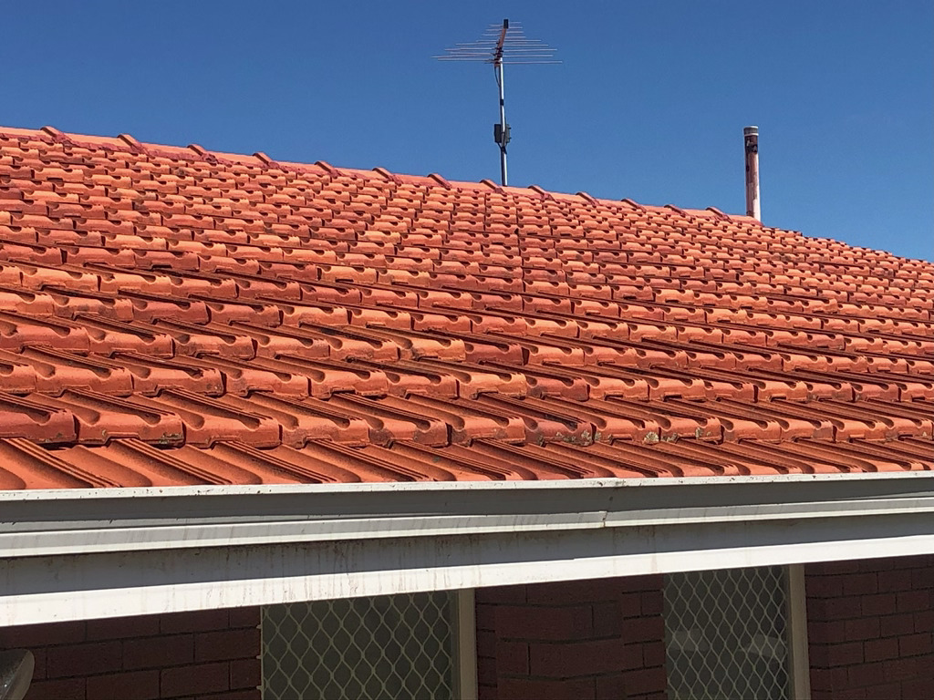 Repaired and cleaned tile roof