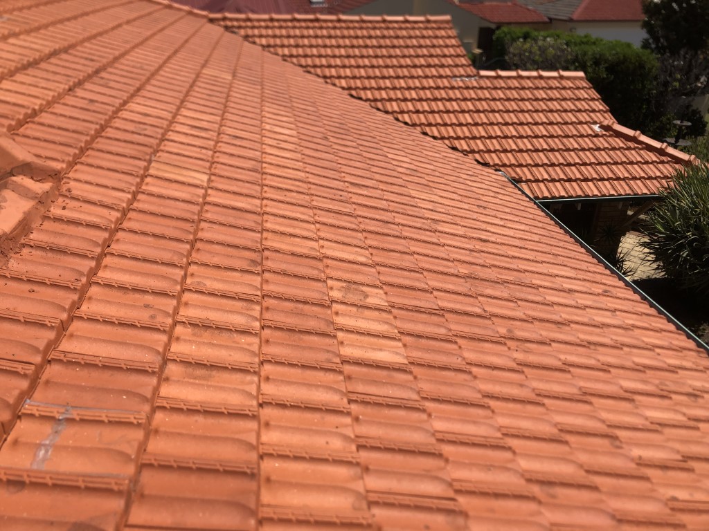 Cleaned terracotta tiled roof. Lichen cleaned off with high pressure washing.