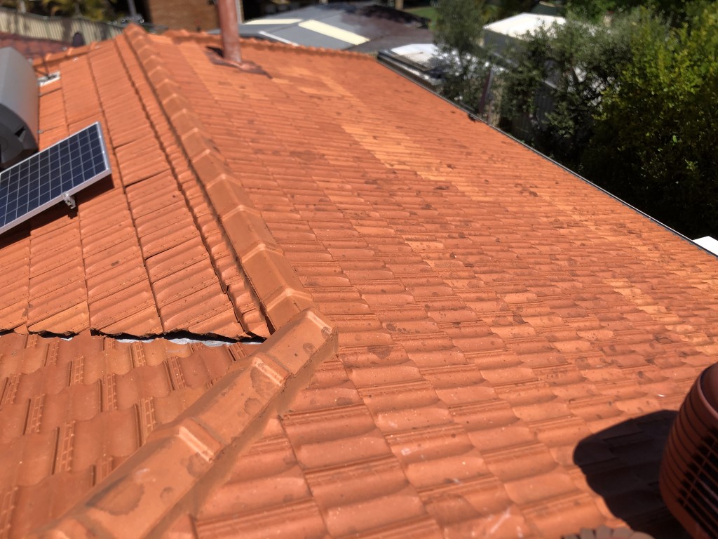 Cleaned terracotta tiled roof. Lichen cleaned off with high pressure washing.