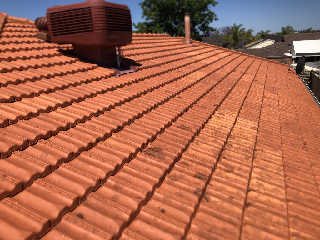 Cleaned terracotta tiled roof. Lichen cleaned off with high pressure washing.