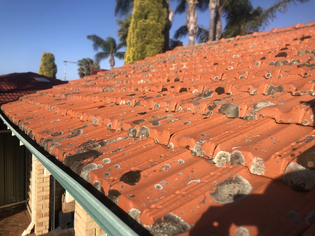 Dirty terracotta tiled roof with lichen moss dirt and grime