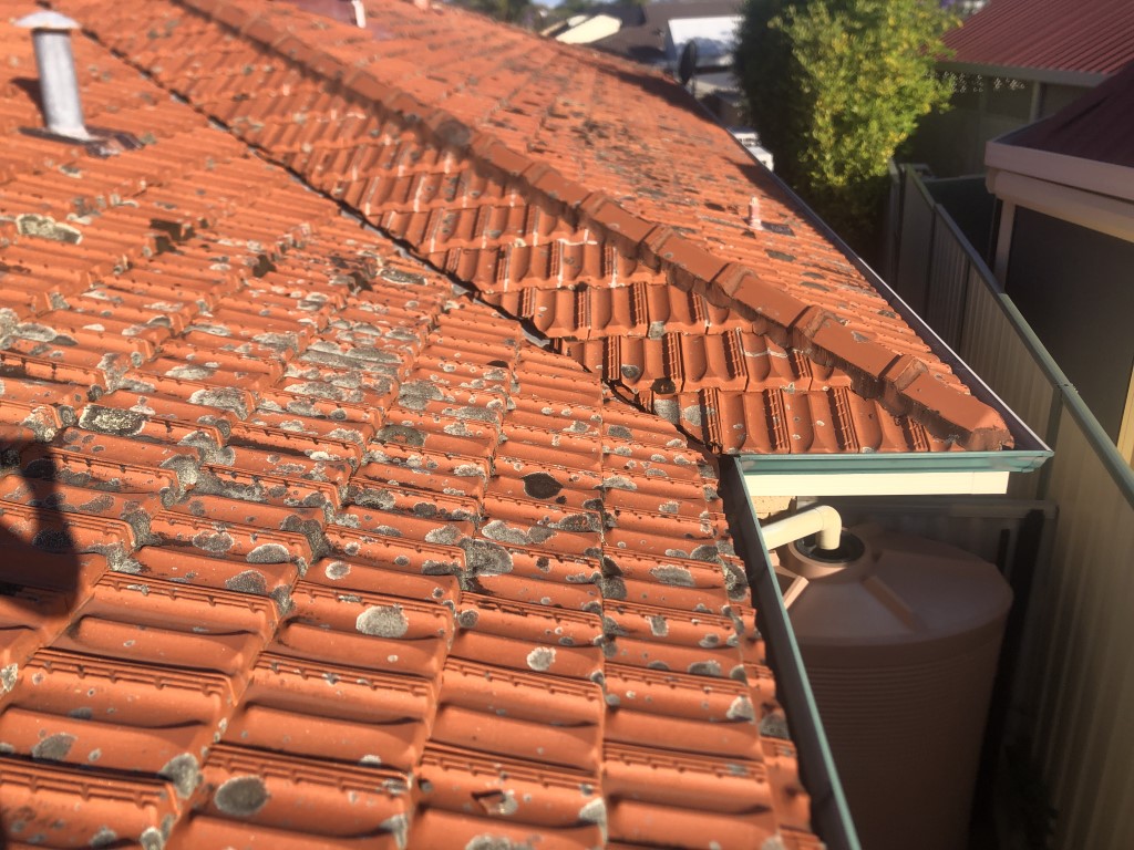 Dirty terracotta tiled roof with lichen moss dirt and grime