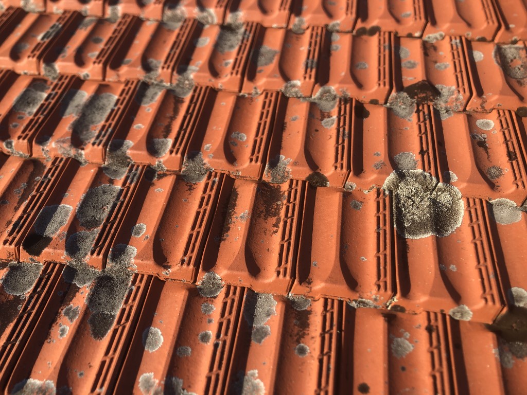 Dirty terracotta tiled roof with lichen moss dirt and grime