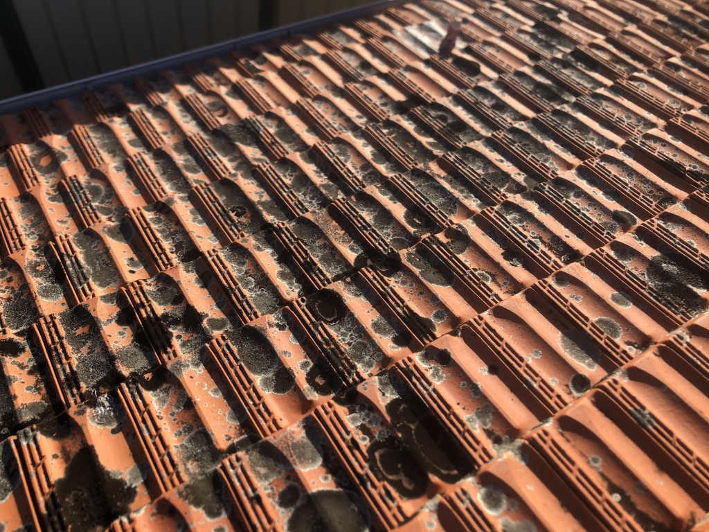 Dirty terracotta tiled roof with lichen moss dirt and grime